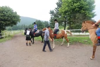 알프스제주
