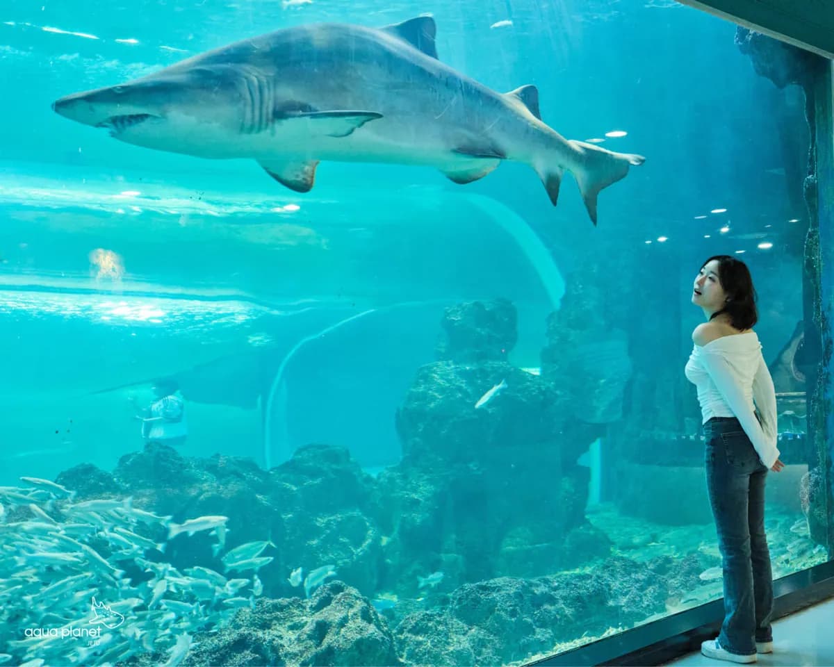aqua-planet